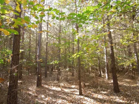 Mcduffie Road, Biscoe, NC 27209 photo 10