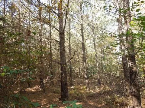 Mcduffie Road, Biscoe, NC 27209 photo 2
