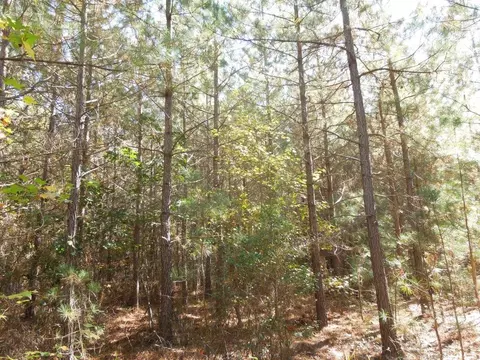 Mcduffie Road, Biscoe, NC 27209 photo 8