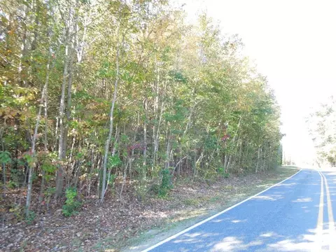 Mcduffie Road, Biscoe, NC 27209 photo 6