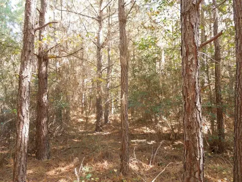 Mcduffie Road, Biscoe, NC 27209