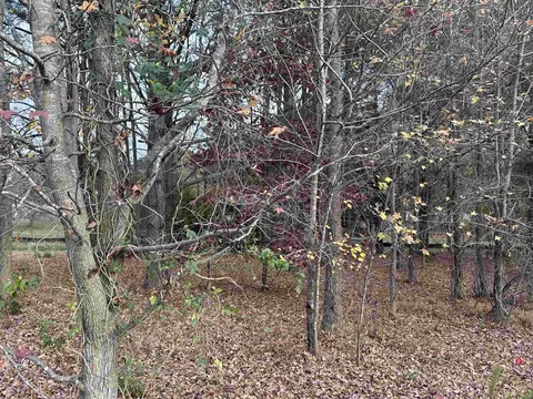917 Meadowbrook Dr, Garner, NC 27529 photo 3