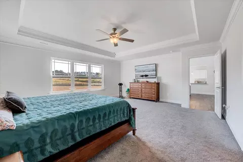 250 Hannah Yam Ln, Benson, NC 27504 photo 20