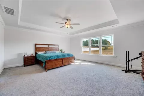 250 Hannah Yam Ln, Benson, NC 27504 photo 21