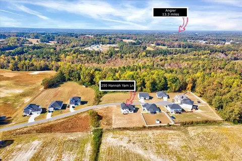 250 Hannah Yam Ln, Benson, NC 27504 photo 45