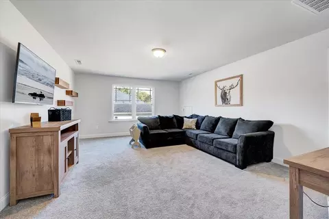 250 Hannah Yam Ln, Benson, NC 27504 photo 29