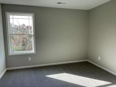 394 Touchdown Way, Benson, NC 27504 photo 17