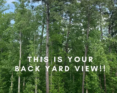 808 Laurel Gate Dr, Wake Forest, NC 27587 photo 3