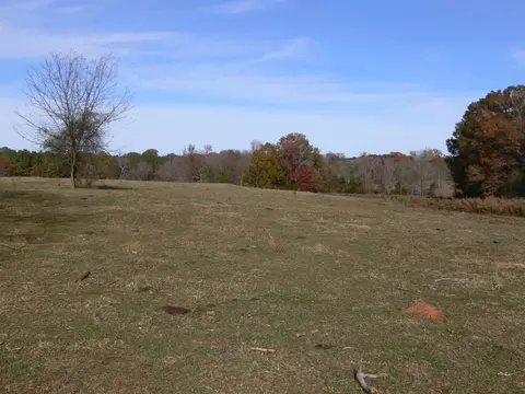 tbd Jessie Bridges Rd, Siler City, NC 27344