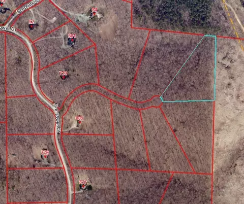 032 Fire Tower Dr, Rougemont, NC 27572 photo 6