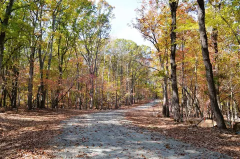 032 Fire Tower Dr, Rougemont, NC 27572 photo 2