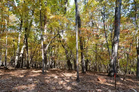 032 Fire Tower Dr, Rougemont, NC 27572 photo 3