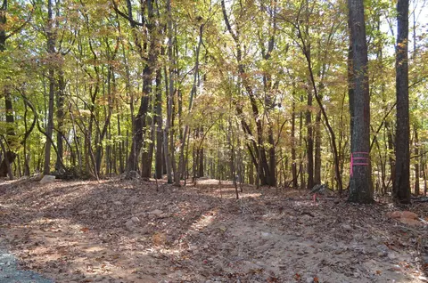 032 Fire Tower Dr, Rougemont, NC 27572 photo 4