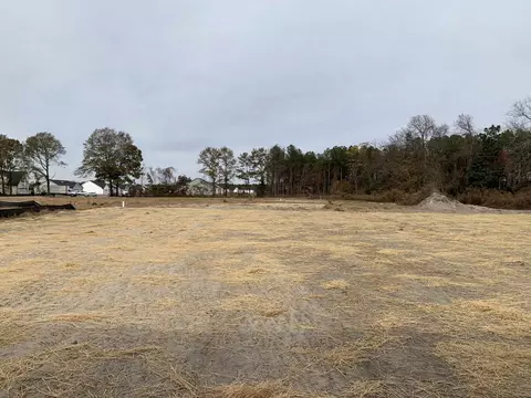 8501 Shallow Creek Trl, Bailey, NC 27807 photo 18