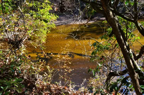 009 Josey Williams Rd, Erwin, NC 28339