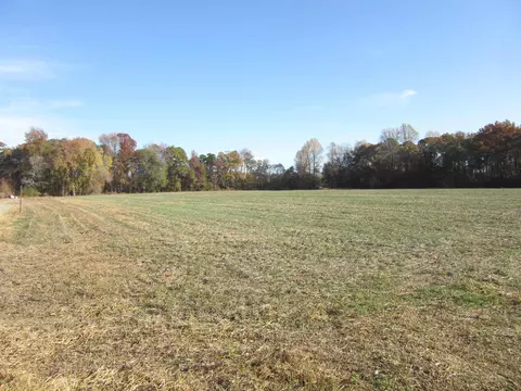 14 78 Acre Woodards Dairy Rd, Kenly, NC 27597