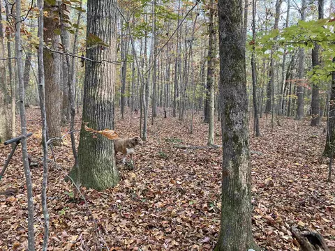 6619 Craig, Durham, NC 27712