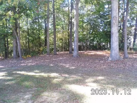 3220 Mango Dr, Raleigh, NC 27610 photo 24
