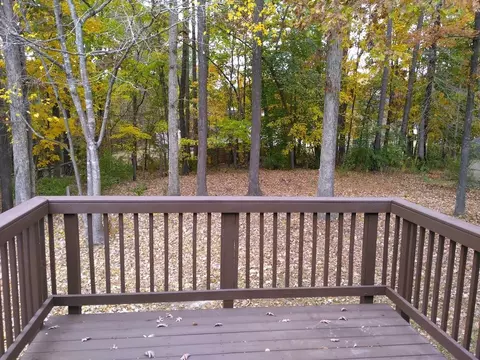 3220 Mango Dr, Raleigh, NC 27610 photo 7