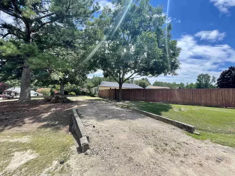 19 Circle Tree Ln, Angier, NC 27501 photo 4