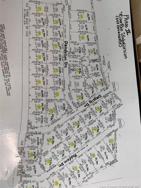 Daylily Drive, Lumberton, NC 28360