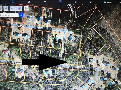 Everett Street, Mount Olive, NC 28365 photo 2