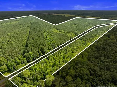 tbd Rich Walker Rd, Wade, NC 28395 photo 3