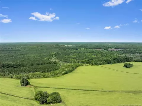 tbd Rich Walker Rd, Wade, NC 28395 photo 13