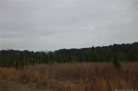 lot44 Stuarts Mill Rd, Fairmont, NC 28340