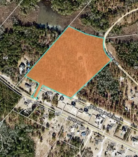 202 Yellow Jacket Trl, Cameron, NC 28326 photo 46