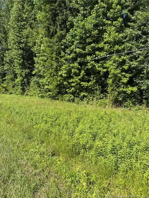 Lemon Springs Road, Sanford, NC 27332
