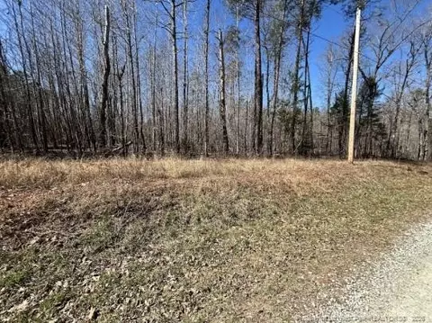 Pointe Mayo Drive, Roxboro, NC 27574 photo 13