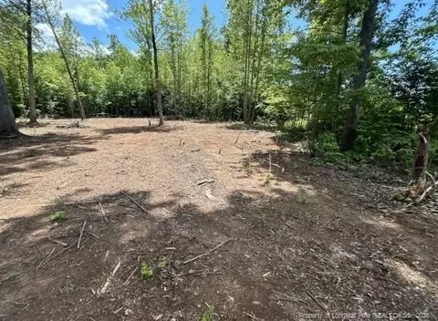 Pointe Mayo Drive, Roxboro, NC 27574 photo 5