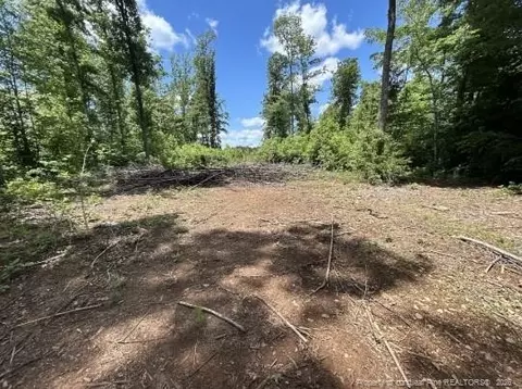 Pointe Mayo Drive, Roxboro, NC 27574 photo 6