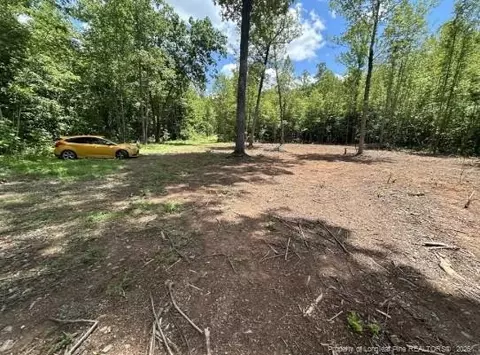 Pointe Mayo Drive, Roxboro, NC 27574 photo 4