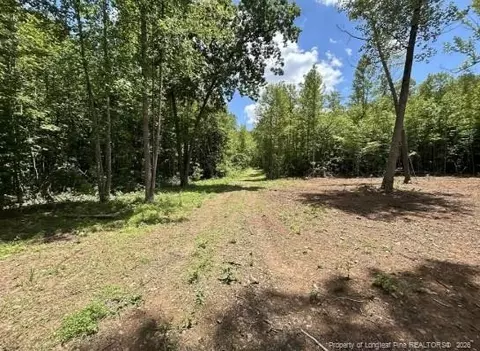 Pointe Mayo Drive, Roxboro, NC 27574 photo 3