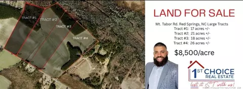 1063 Mt Tabor Rd, Red Springs, NC 28377