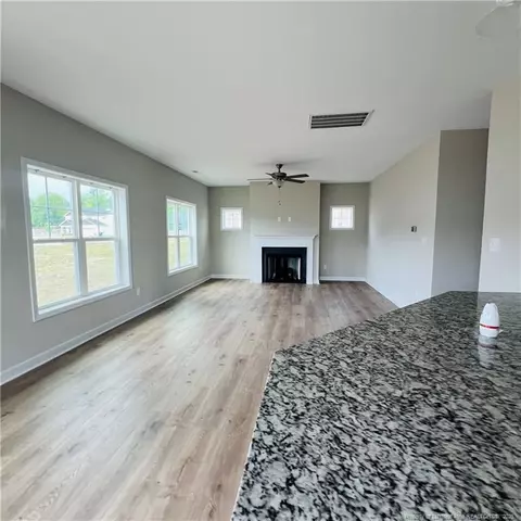 78 Hungry Creek Dr, Erwin, NC 28339 photo 2
