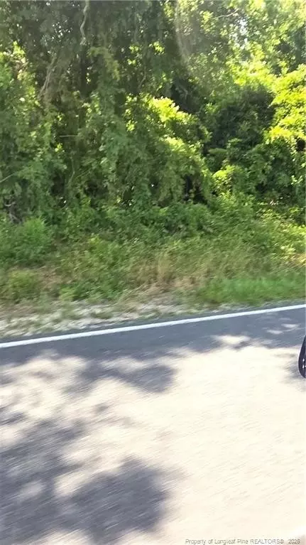 Lakewood School Road, Salemburg, NC 28385