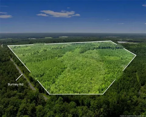 Burney Road, White Oak, NC 28399