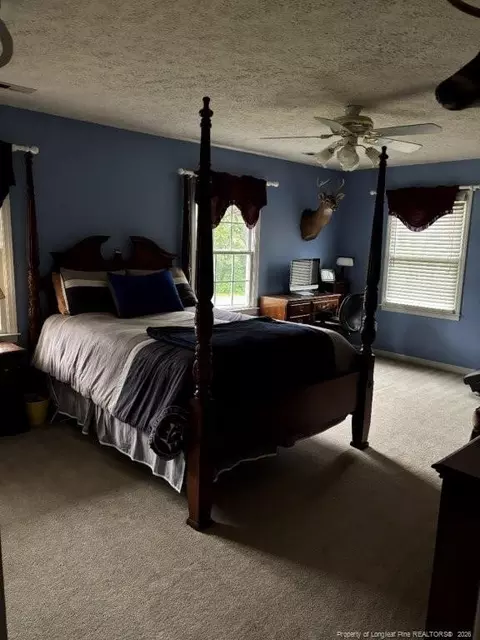 Bedroom - 3744 Nc Hwy 210 Hwy, Harrells, NC 28444 photo 3 of 5