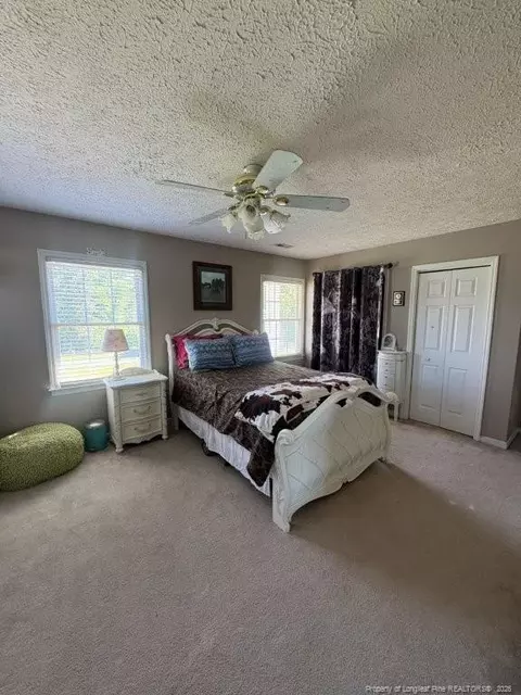 Bedroom - 3744 Nc Hwy 210 Hwy, Harrells, NC 28444 photo 4 of 5