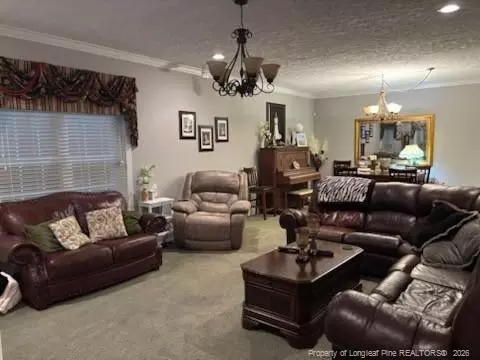 Other - 3744 Nc Hwy 210 Hwy, Harrells, NC 28444 photo 7 of 10