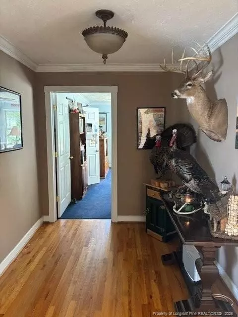 Entry Way - 3744 Nc Hwy 210 Hwy, Harrells, NC 28444 photo 1 of 5
