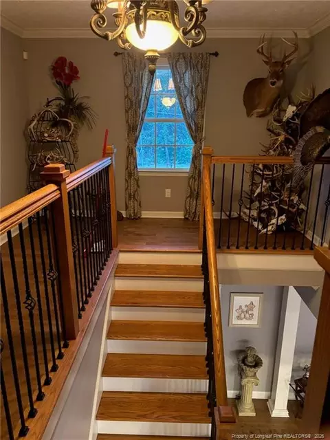 Entry Way - 3744 Nc Hwy 210 Hwy, Harrells, NC 28444 photo 4 of 5