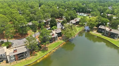 View/Area - 250 Sugar Gum Ln, Pinehurst, NC 28374 photo 2 of 13