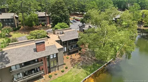 View/Area - 250 Sugar Gum Ln, Pinehurst, NC 28374 photo 4 of 13