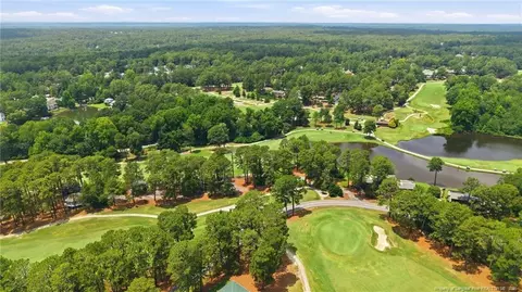 View/Area - 250 Sugar Gum Ln, Pinehurst, NC 28374 photo 12 of 13