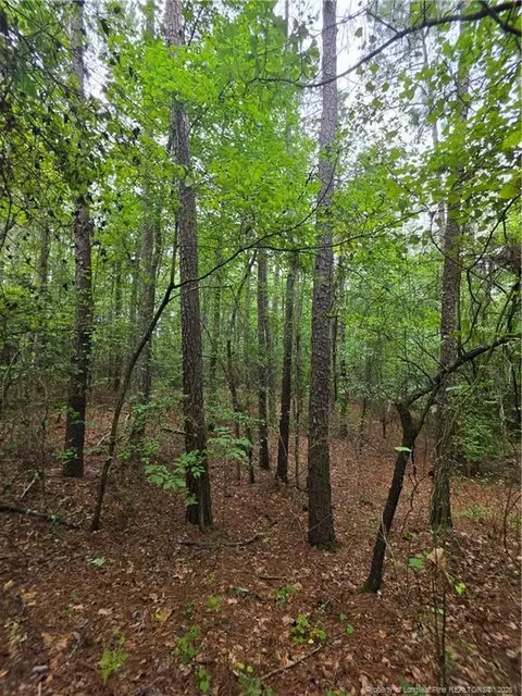 West Road, Cameron, NC 28326 photo 10