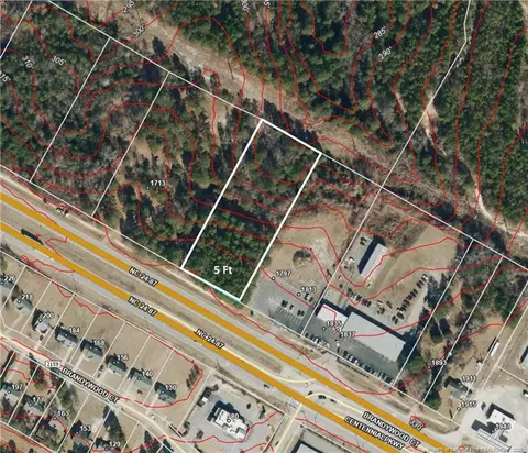 Nc 24-87 Highway, Cameron, NC 28326 photo 3